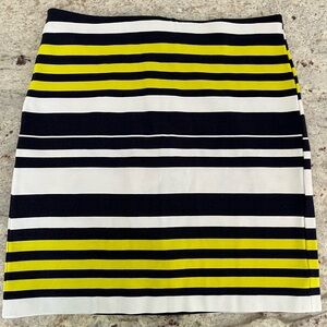 Ann Taylor Pencil Skirt